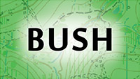 bush